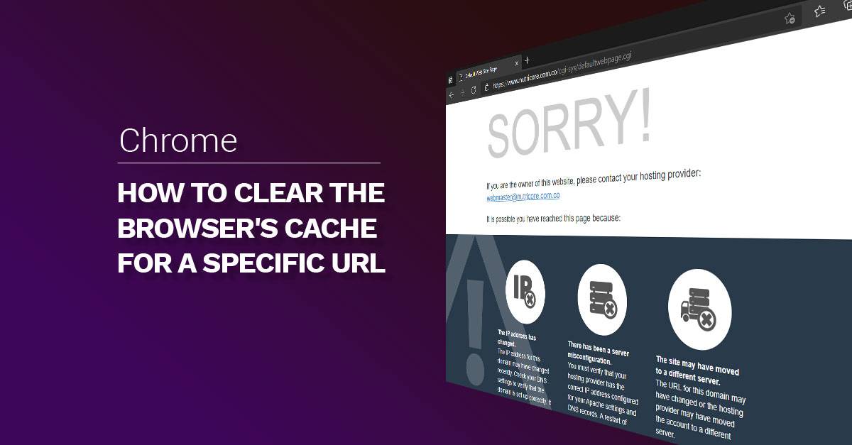 How to clear the browser's Cache for a specific URL / page