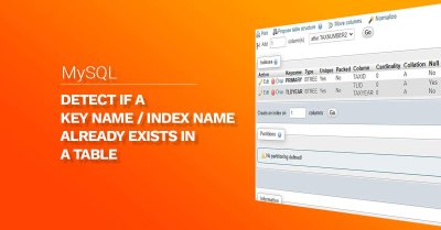 How to find if a specific INDEX NAME / KEYNAME exists in a Table