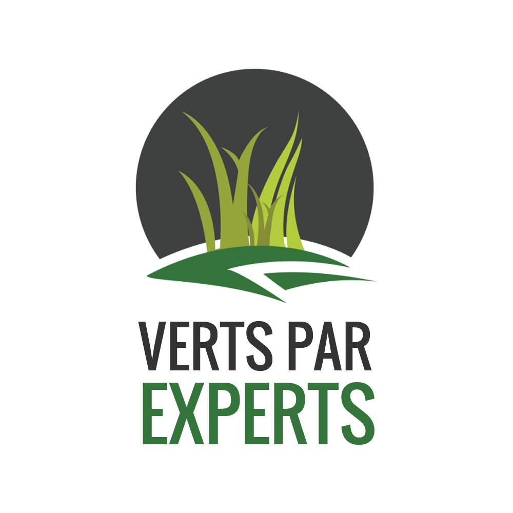 Gazon Laval - Verts Par Experts