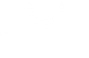Laser Fenix